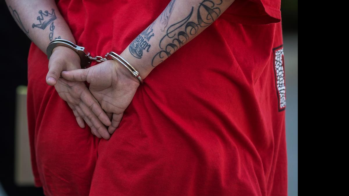 
A man is taken into custody during an operation to arrest suspected gang members involving multiple law enforcement agencies in Merced, Calif., Thursday, May 28, 2015.
