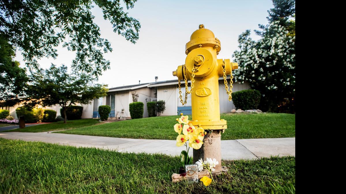 A memorial is placed near the fire hydrant where a year-old husky named Lucious was attacked by two men with machetes at Austin Avenue and Conestoga Drive in Merced on Friday. One suspect has been arrested, and another man was being sought.