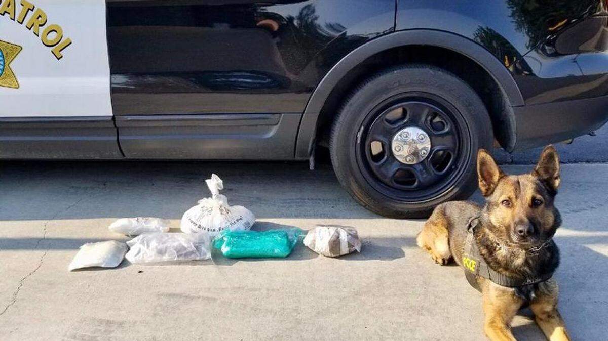 The 2 pounds of heroin and 10 pounds of crystal methamphetamine inside a speaker box found by Los Banos-area K-9 Officer Beny on Monday, Aug. 13, 2018, according to the California Highway Patrol.