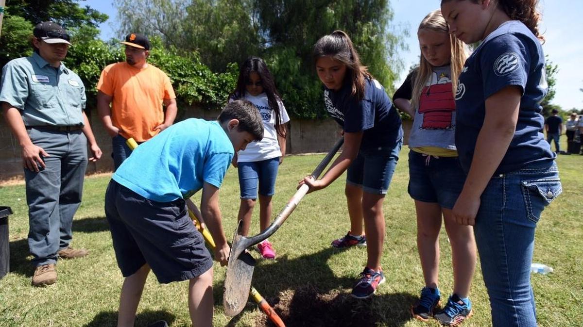 Peterson Elementary School students plant trees in Bob Carpenter Park on Friday, April 29, 2016, as part of Arbor Day celebrations in the city. All five trees were sunset maples.