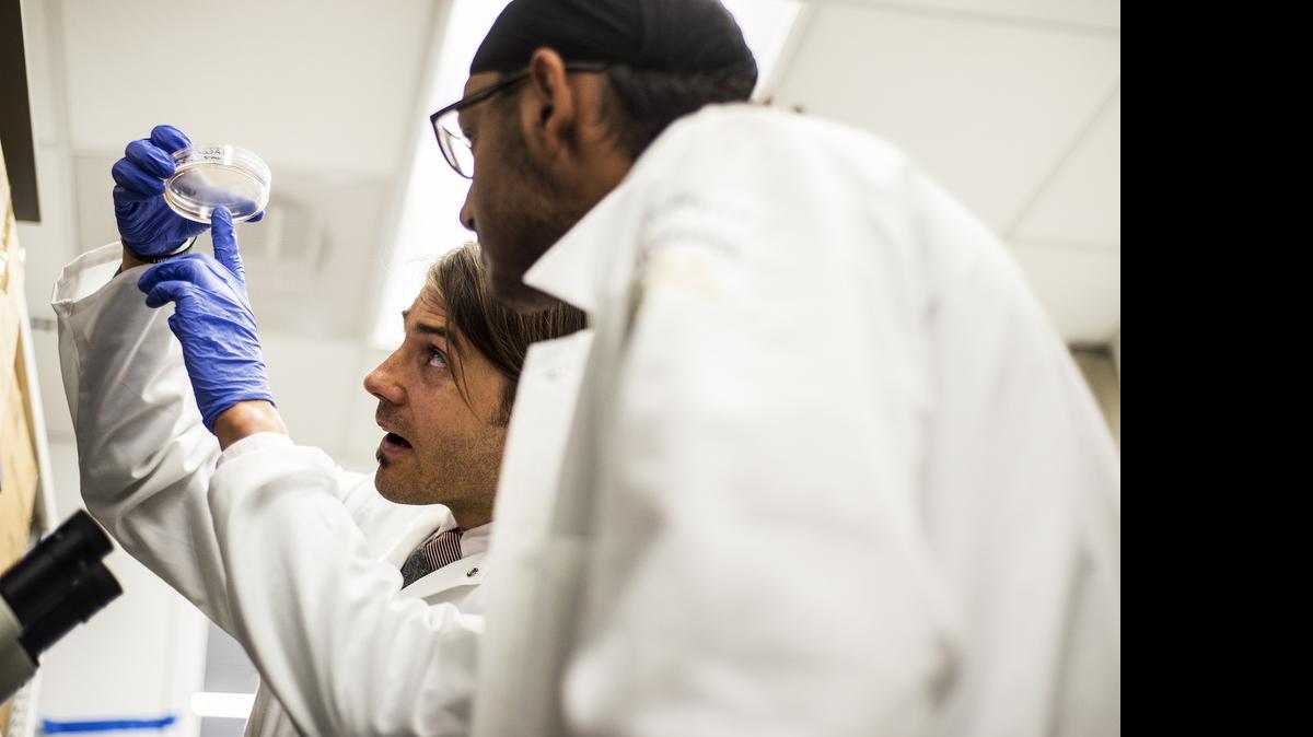 
Fabian Filipp shows Buhach Colony High School junior Rajdeep Badwalz the progression of melanoma in a real patient sample. “You usually think this type of research happens in bigger universities, but to know it’s being done right here is really cool,” Badwalz said.
