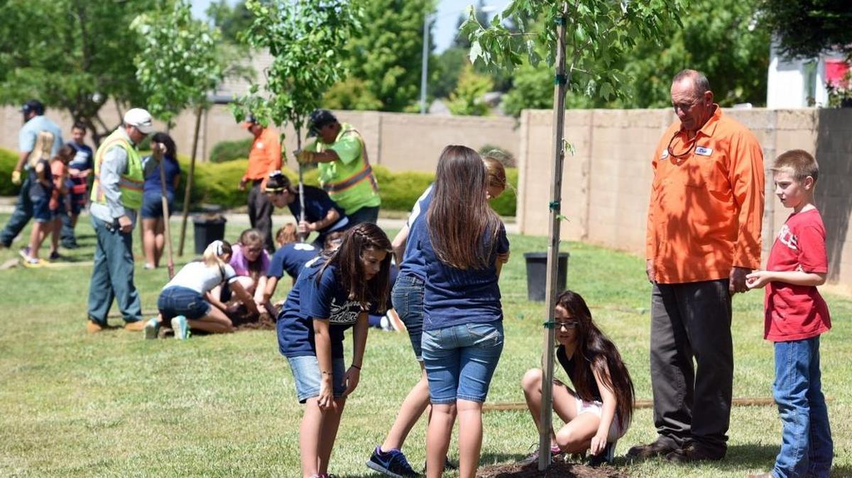Peterson Elementary School students plant trees in Bob Carpenter Park on Friday, April 29, 2016, as part of Arbor Day celebrations in the city. All five trees were sunset maples.
