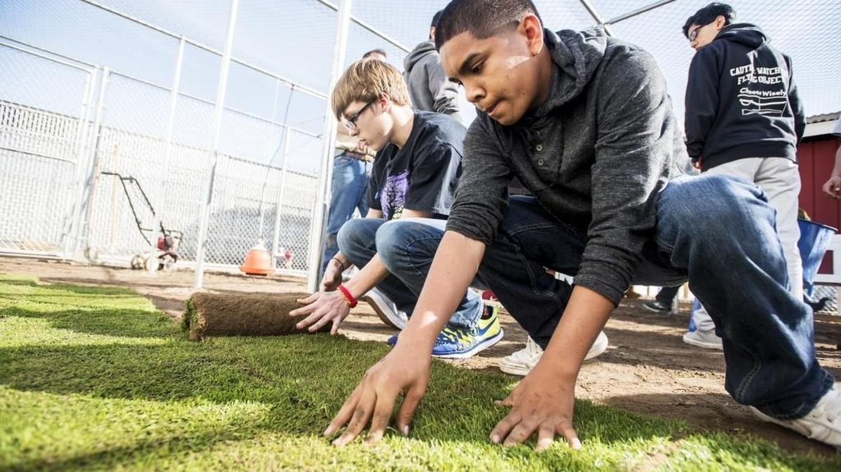 Atwater High School sophomores Alex Inda, right, and Nathan Southworth lay pieces of sod donated by West Coast Turf, the same company that supplied sod for the Levi’s Stadium field, at the new student-built poultry facility at Atwater High School in Atwater on Wednesday, March 2, 2016. According to Dave Gossman, agriculture department chairman, students will manage the egg-laying facility with proceeds from egg sales going to students and the FFA program.
