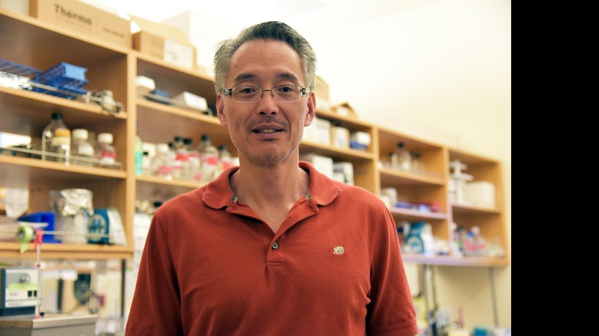 
UC Merced professor Andy LiWang led a new study that looks at how biological functions depend on movements of a single protein.

