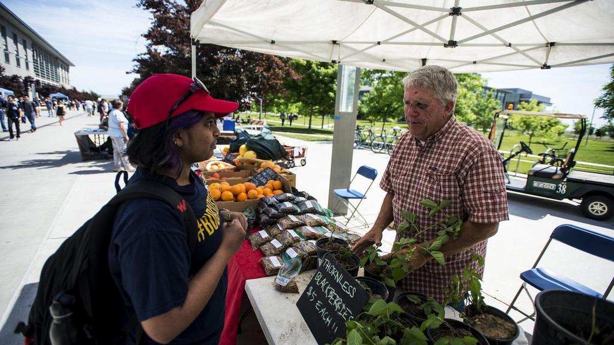 Bruce Kinabrew, 55, owner of Kinabrew Farms in Madera, helps customer and UC Merced physics graduate student Ritwika Vallomparambath Panikkasserysu, 23, of India, as the campus observes Earth Day onThursday. The day focused on organic food and farming as the university aims to set up a farmers market on campus.