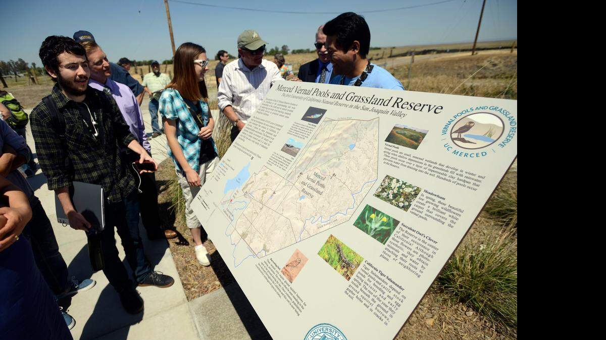
UC Merced students and faculty check out a new sign for the UC Merced Vernal Pools and Grassland Reserve behind the university Thursday. The University of California Natural Reserve System, which includes 39 sites, is celebrating its 50th anniversary and kicked off the festivities in Merced.
