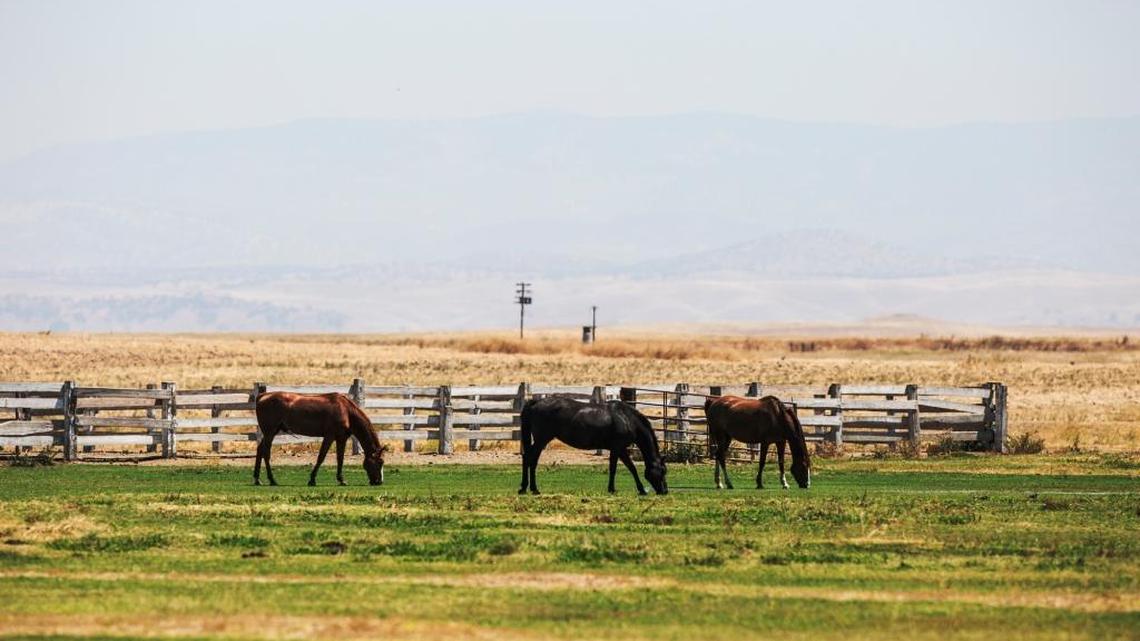 Wildfires contribute to high air pollution days for Merced