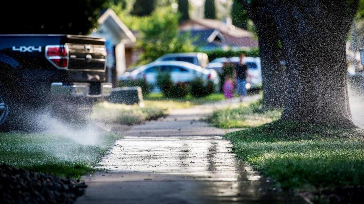 
Sprinklers water the lawn of a house on West Donna Drive in Merced on May 5. The California Department of Water Resources on Thursday announced two new rebates to help Californians replace inefficient toilets and tear out water-guzzling lawns to conserve during the state’s drought.
