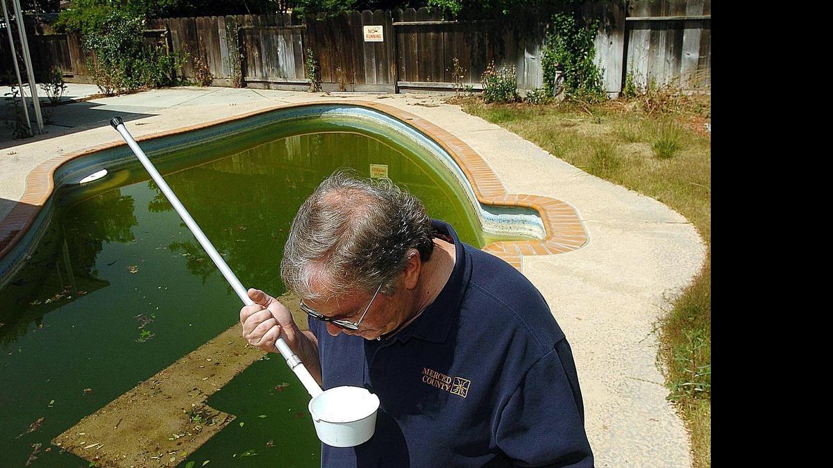 
Allan Inman, manager and entomologist for the Merced County Mosquito Abatement District, examines some water from a pool in the backyard of an abandoned Merced home. The district has been busy keeping abandoned pools clean. 
