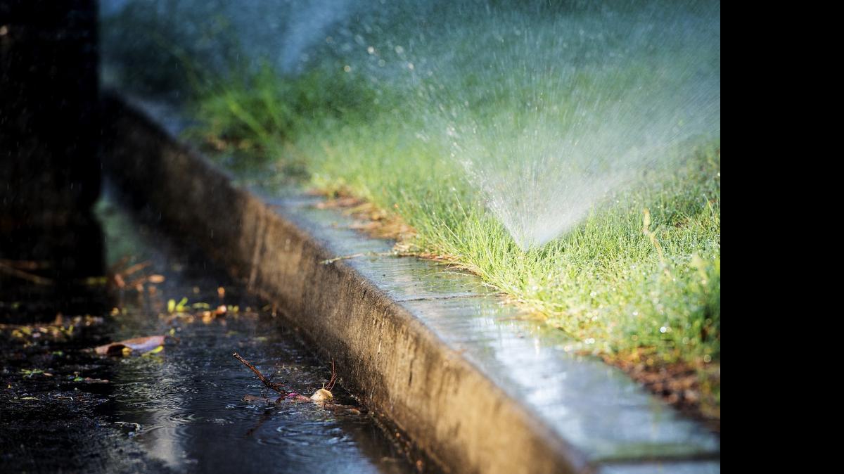 
Sprinklers water the lawn of a house on West Donna Drive in Merced last month. The Merced City Council unanimously approved amendments to the city’s water ordinance on Monday. The updated ordinance prohibits residents from watering their lawns within 48 hours of a measurable rainfall. Residents will also be allowed to wash their cars only on the days they are allowed to water their lawns.
