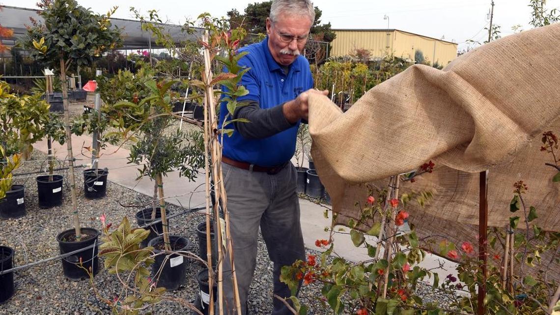 Merced area will flirt with near-freezing temps
