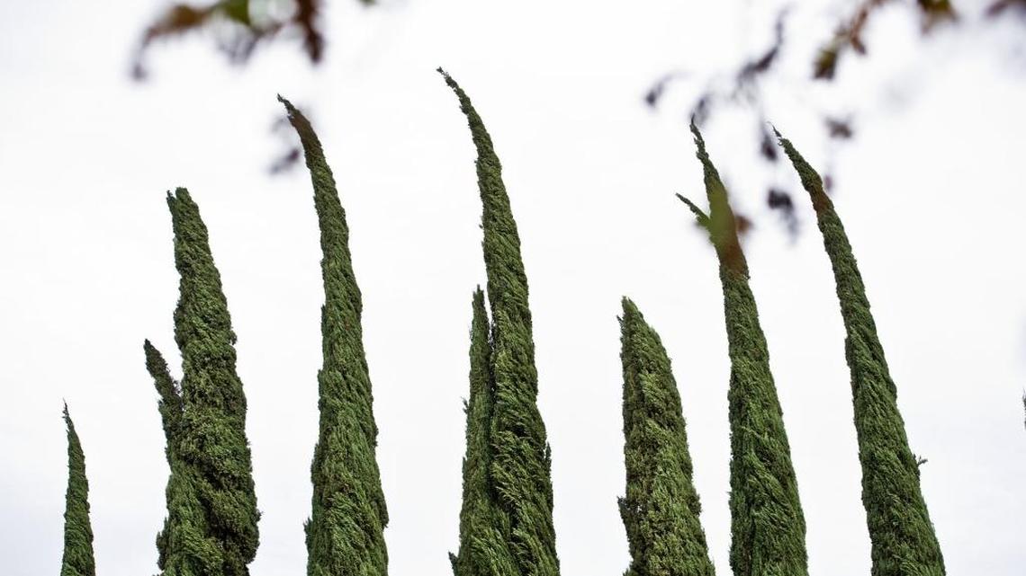 Merced County under high wind advisory Monday night, forecasters say