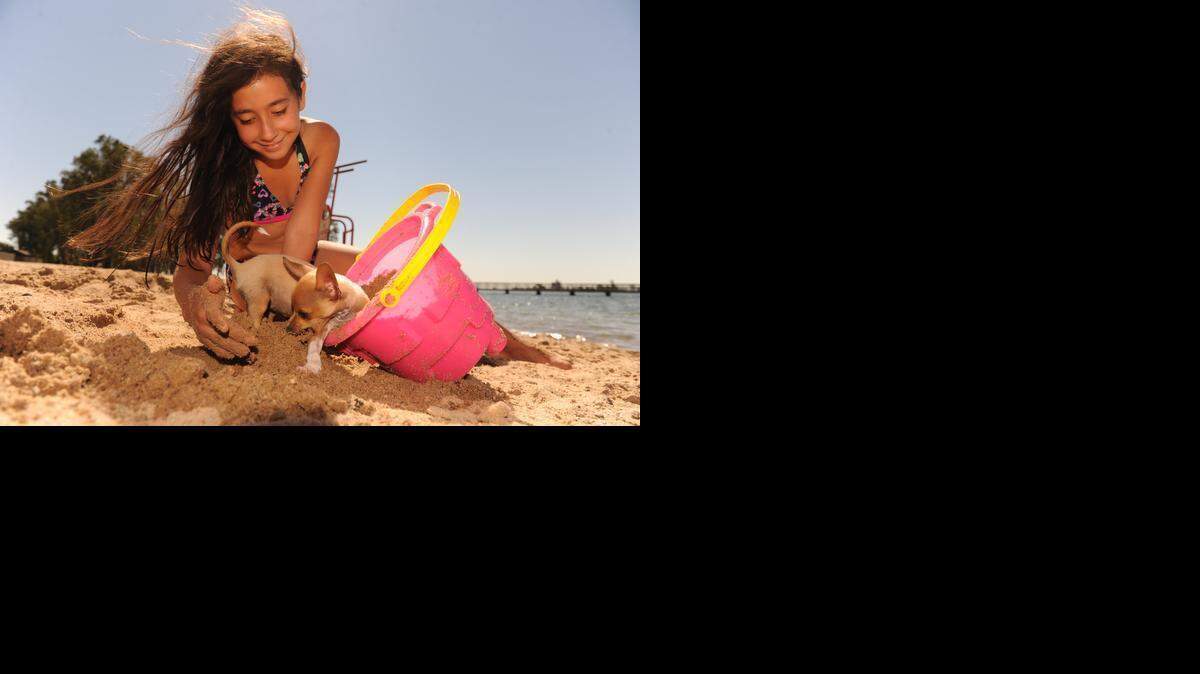 
Melissa Perez, 11, of Winton gets help from puppy Daiquiri in building a sand castle at Lake Yosemite in Merced in August 2013.
