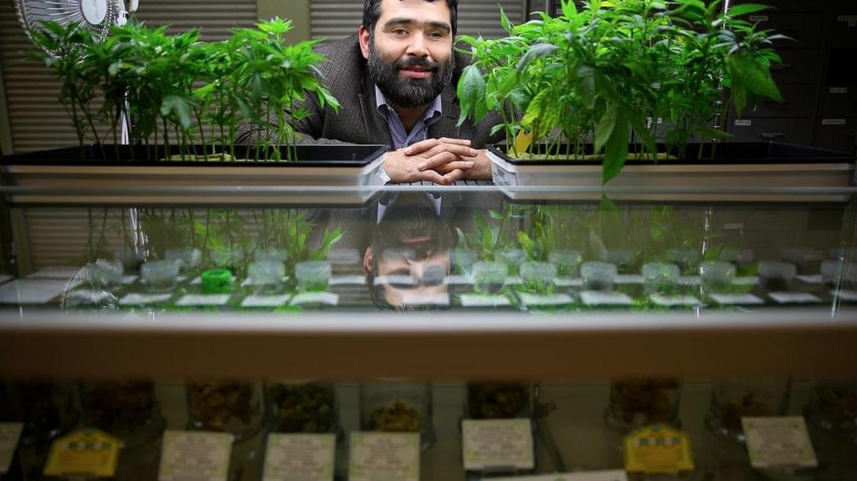 Sebastopol councilman Robert Jacob poses for a photo in Sebastopol in December. Medical marijuana advocates hoped the passage of California’s first statewide industry regulations would make local governments more receptive to pot-related businesses. Instead, cities and counties are racing to ban marijuana cultivation ahead of a March 1 deadline that lawmakers say was included in the final version by mistake. Jacob is asking the city council to approve a resolution urging the Sonoma County Board of Supervisors and city councils around the county to adopt medical cannabis regulations, especially for cultivation, to protect the local industry.