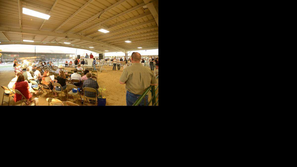 People attend a rabbit auction at the Merced County Fair in 2013. <137,2015/03/10,Knight/c Kathy - Sacramento1>The deadline is April 13 for junior exhibitors <137>Junior exhibitors not affiliated with FFA or FHA can enter goats, sheep or swine at the 2015 fair through April 13.