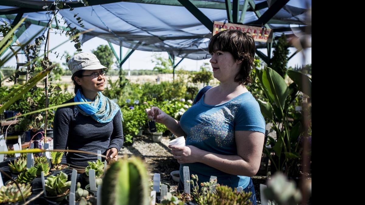 
Merced Gardens and Nursery sales associate Lemaria Suong, 22, left, assists customer Amber Young, 27, at the nursery at 1007 Tahoe Street in Merced on Wednesday. The nursery will be holding a seminar titled “Planning for Drought” on Saturday.
