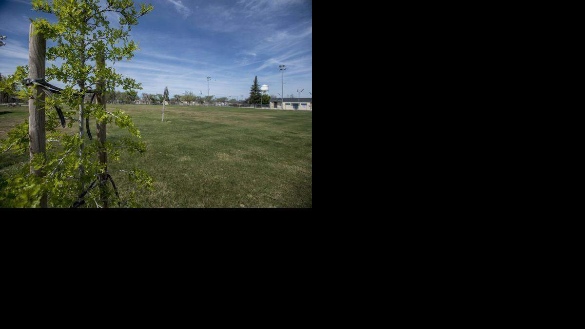 
Young trees don’t offer much shade at McNamara Park on Canal Street in Merced on Tuesday.
