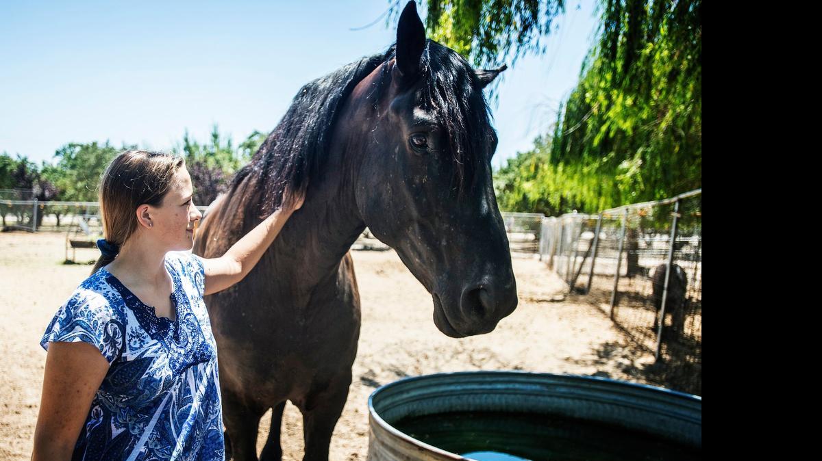 
Audrey Esau, 14, of Winton, pets her horse Jake, a 10-year-old Percheron, at her home in Winton on July 7. 
