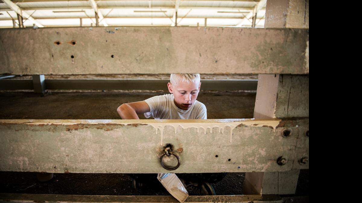 
Parker Eggleston, 12, of Merced applies fresh paint to fencing at the Merced County Fairgrounds during the annual Love Merced event Saturday. According to event organizers, 1,400 volunteers signed up for this year’s event.
