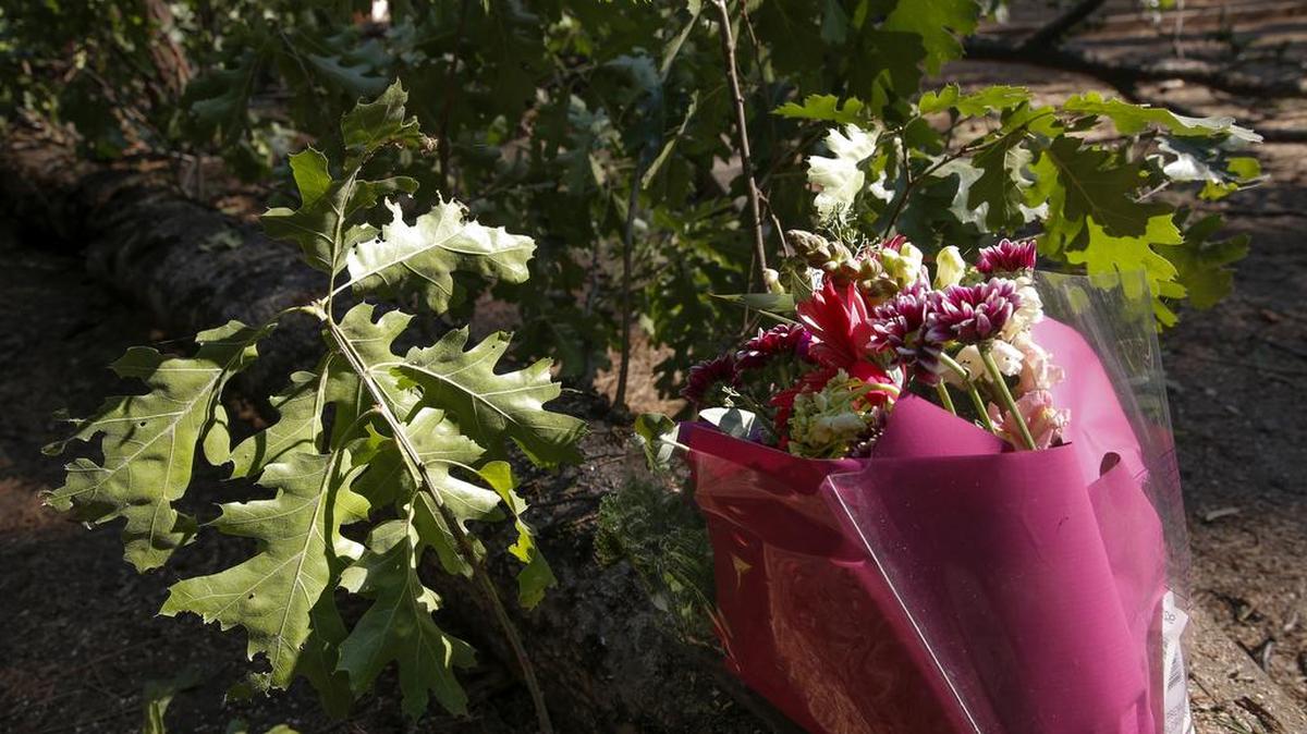 
A bouquet of flowers rests Saturday on the tree branch that fell at the Upper Pines Campground in Yosemite National Park, killing two young campers when it struck their tent.
