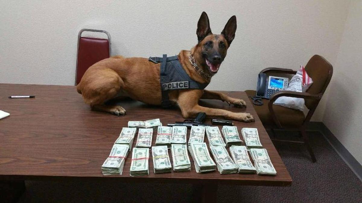 California Highway Patrol K-9 Laika sniffed out a hidden compartment in the floor of a car, believed to function as a way to smuggle money and narcotics, according to police officials. Officials found $37,460 in four sealed packages and a handgun.
