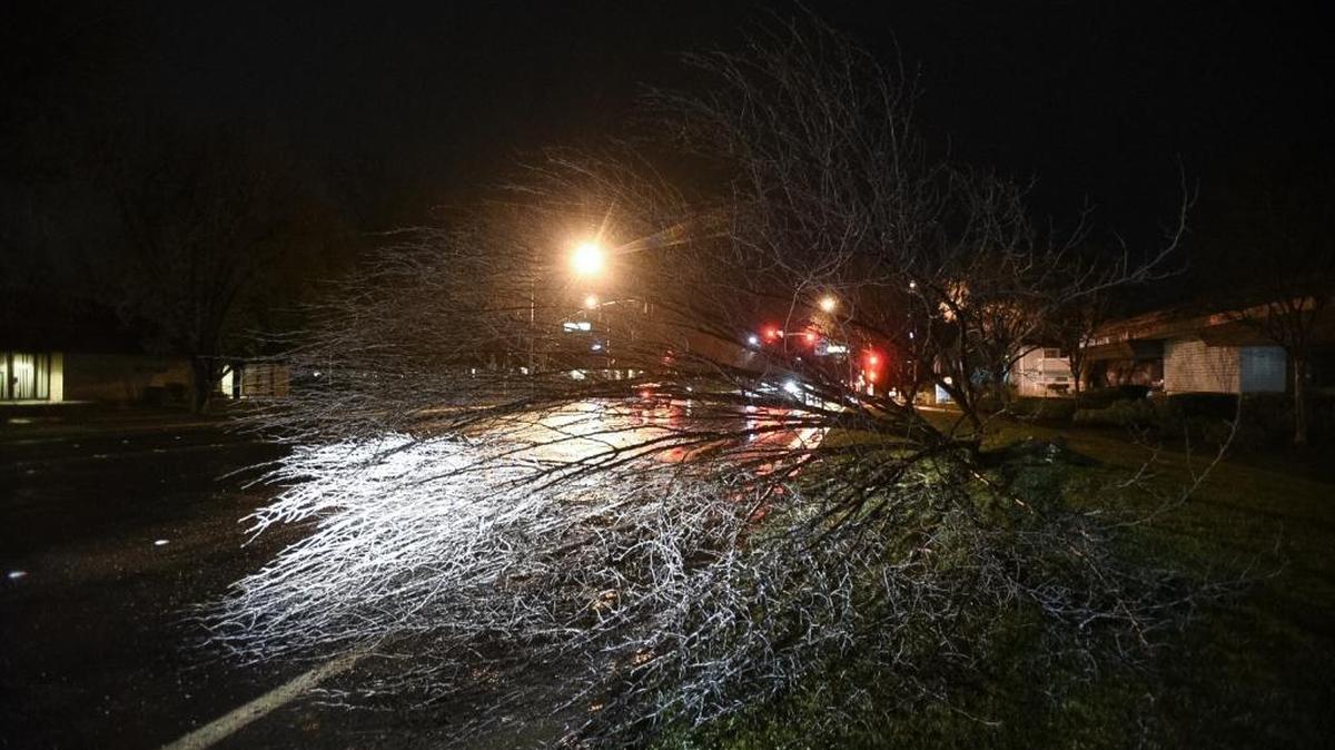 Nearly a dozen trees have fallen in Merced on Wednesday as high winds keep city crews busy clearing roadways.