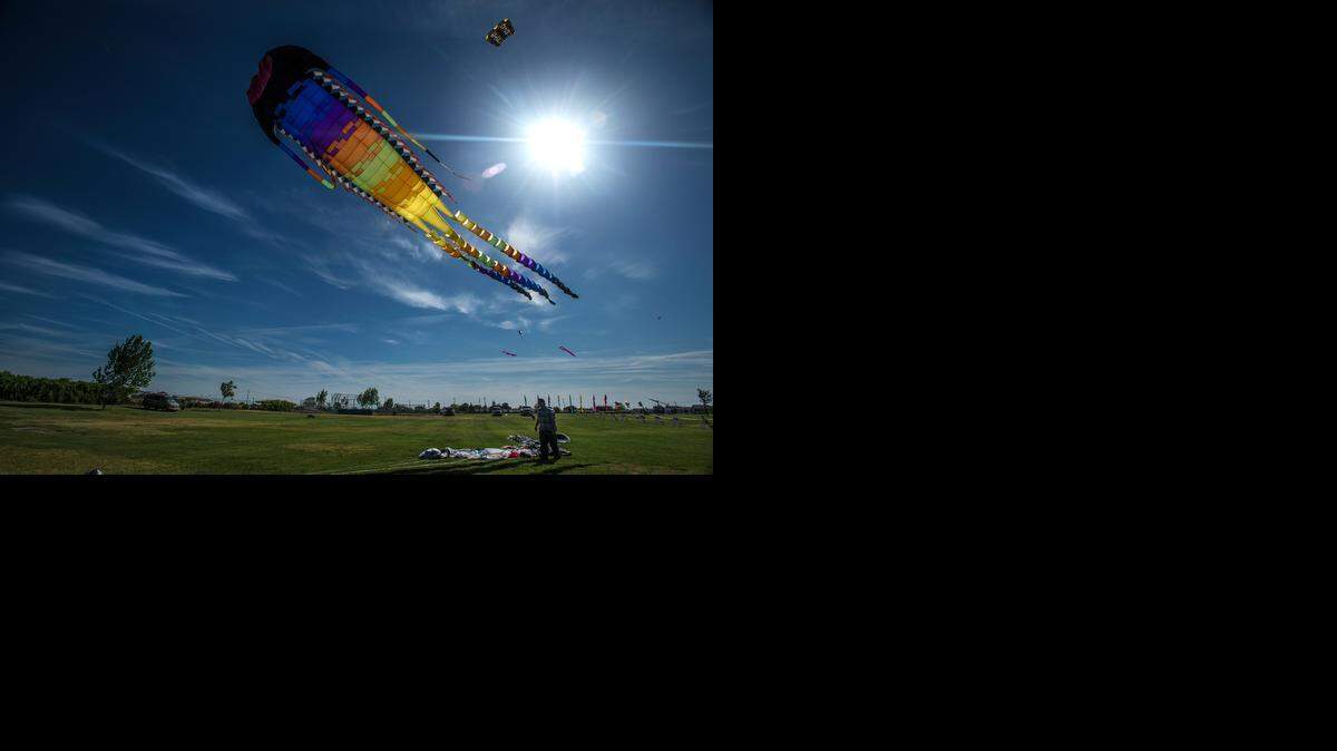
A large fish kite is flown by Mike North, 58, of Concord, during the Livingston Kite Festival on Sunday.
