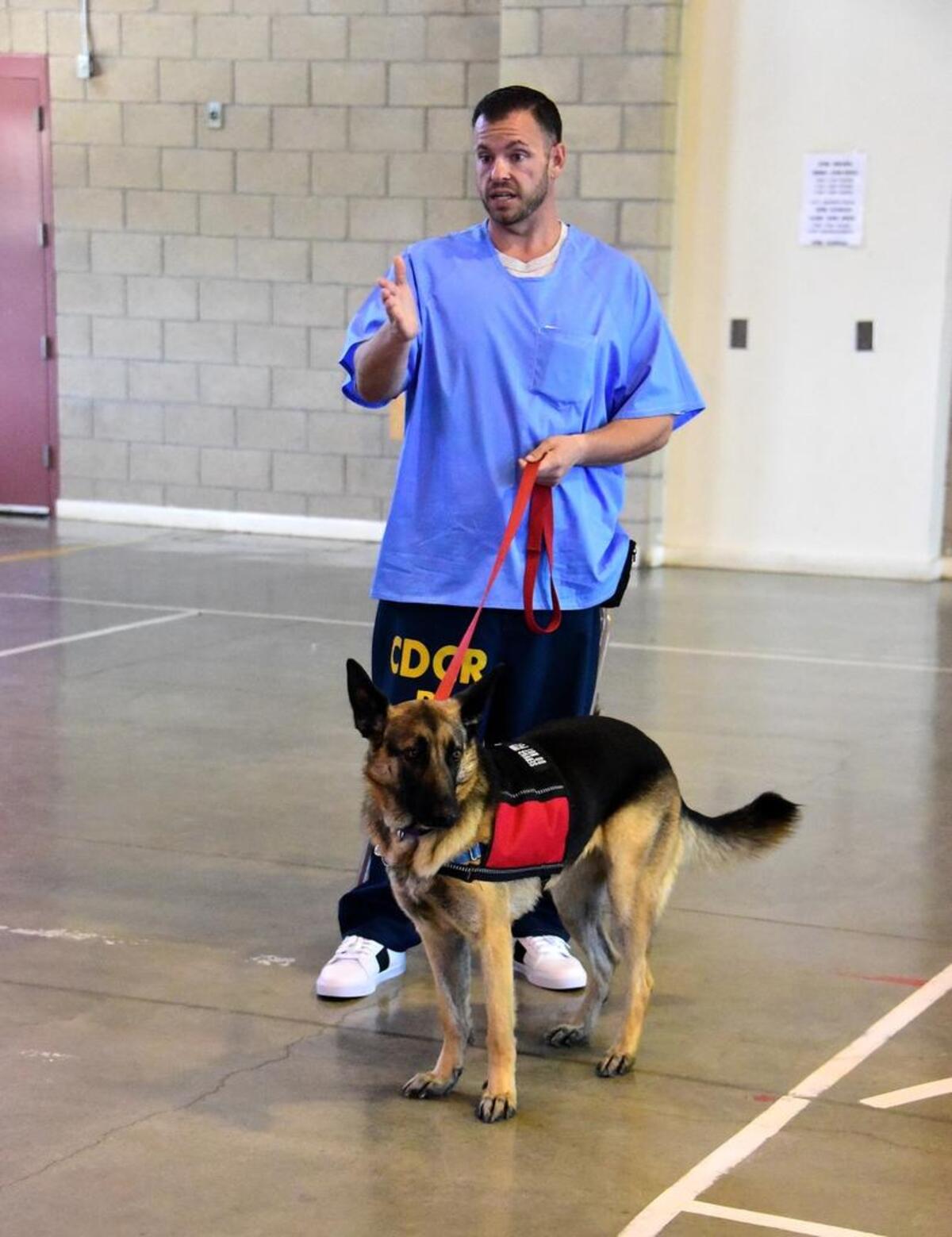 Jered Pillsbury, 37, explains the training Sierra, a German Shepherd rescue dog from Fresno Humane Animal Services, has completed in the last six months at Valley State Prison in Chowchilla. Inmates train the dogs for the first part of their training to become service dogs for military veterans.