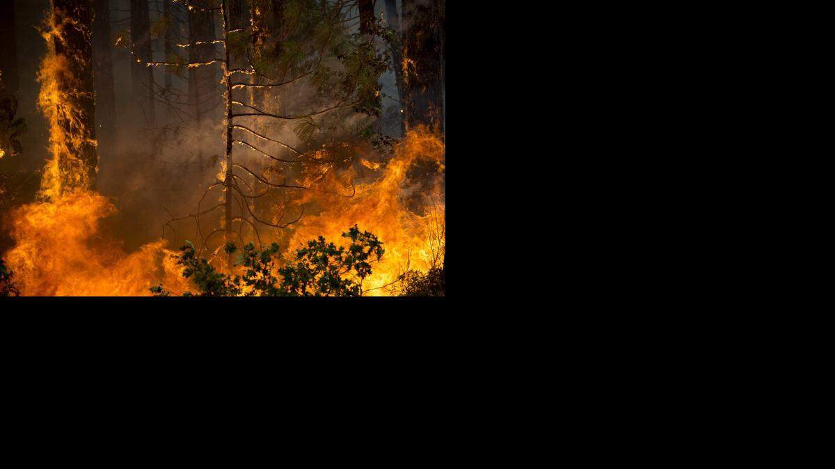 
The Rim fire rages out of control in the Stanislaus National Forest on Aug. 22, 2013.
