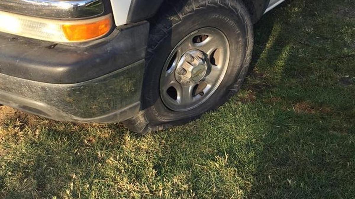 Los Banos police are investigating a vandalism case in which at least 14 cars had tires slashed in the area of Idaho Avenue and West K Street.