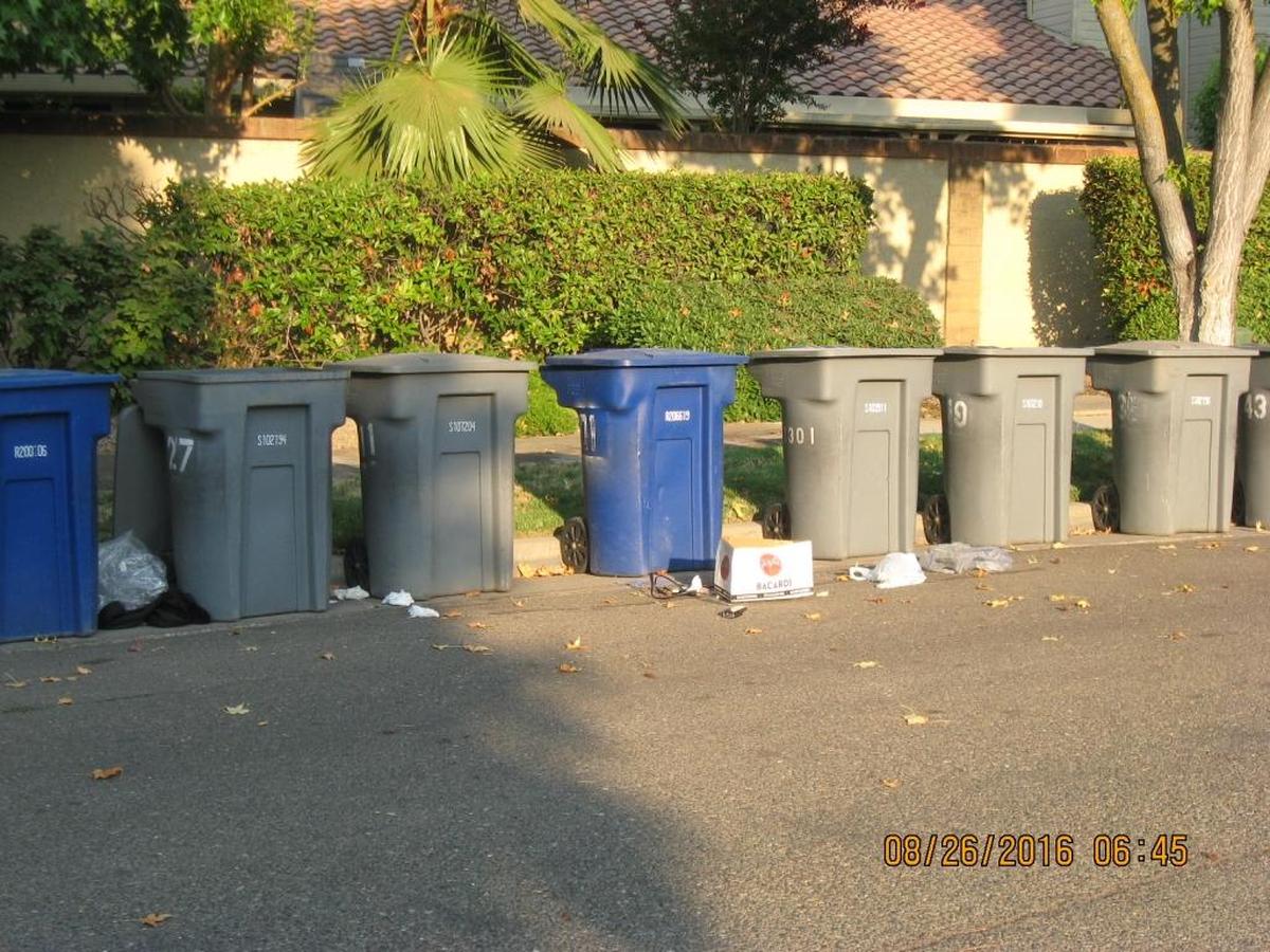 Trash litters the street after garbage diggers scavenged through garbage and recycling bins in the Los Verdes Estates neighborhood in Merced on Friday, Aug. 26, 2016.