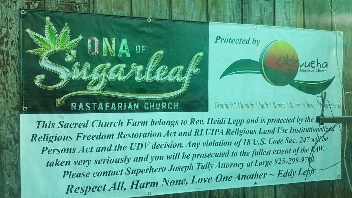 The Merced County Sheriff's Office raided a second marijuana grow operation connected to the Sugarleaf Rasta Church Monday, Aug. 21, 2017. The church's leader said she plans to sue Sheriff Vern Warnke for violating the church's religious rights.