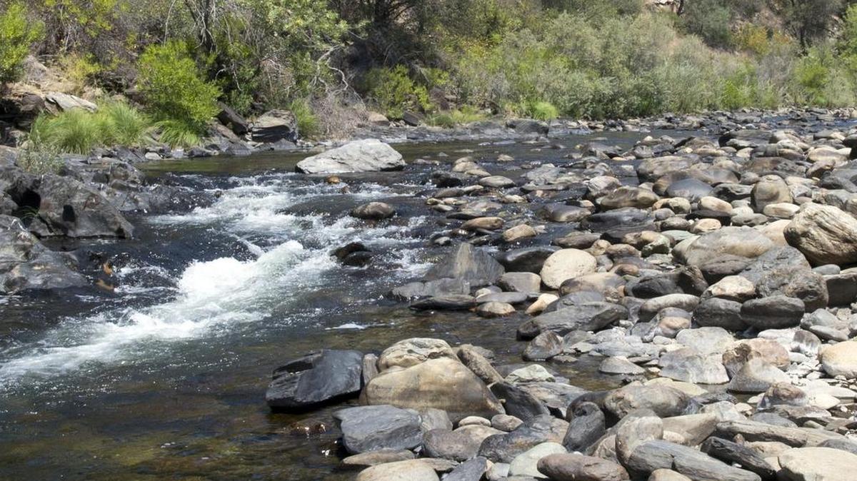 
A portion of the Merced River is closed to fishing due to low water levels caused by the drought.
