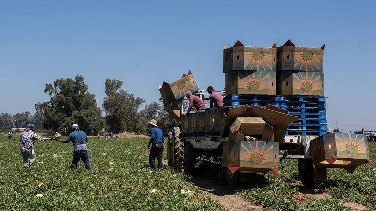 UC Merced earns distinction of being named an agricultural experiment station