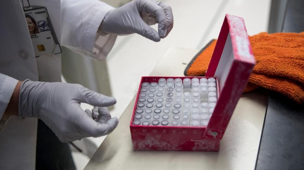 Rebecca Gillespie works with a box of frozen flu virus strains at the Vaccine Research Center at the National Institutes of Health.