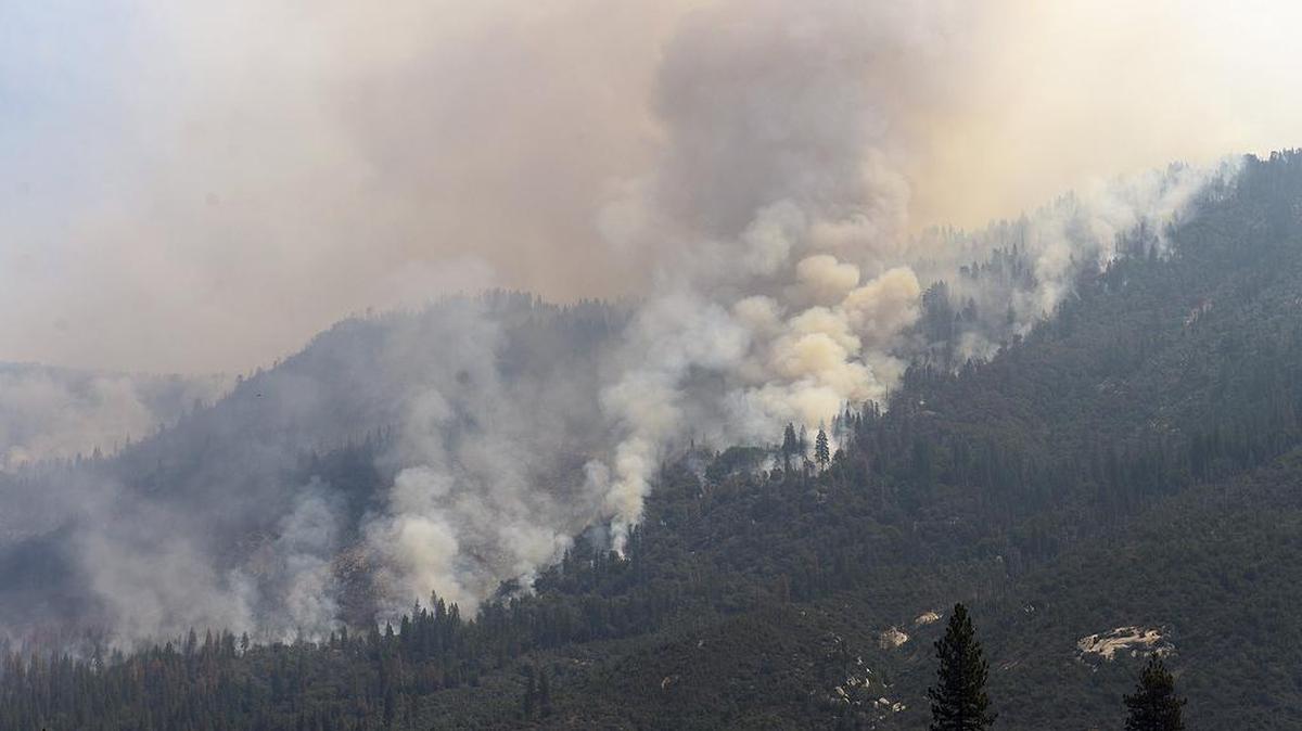 
Smoke billows from a mountain side at the Willow fire near Bass Lake on July 26.
