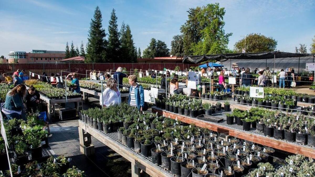 Paying your taxes are useful not only for safety, but also for supporting events like the Merced College Plant Sale held last March.