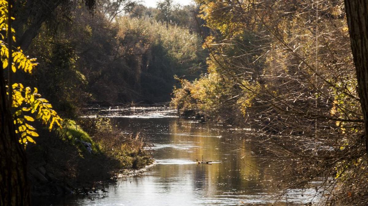 The Stanislaus River as it flows past Ripon.