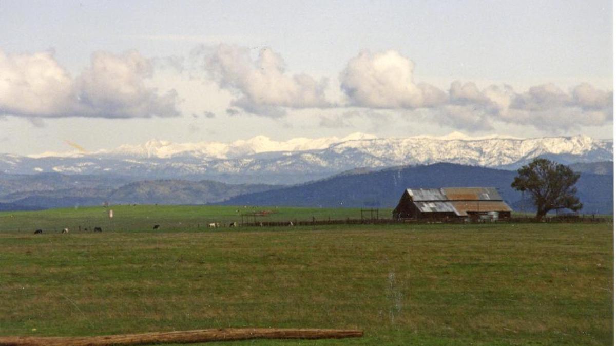 
The barn and the lone eucalyptus tree on the Virginia Smith Trust land have long symbolized the pioneering spirit of UC Merced. 
