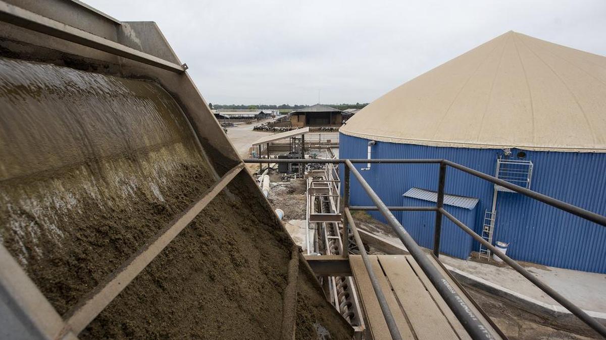 Dairy cow manure solids are separated before going into the bio digester at Fiscalini Farms in Modesto.