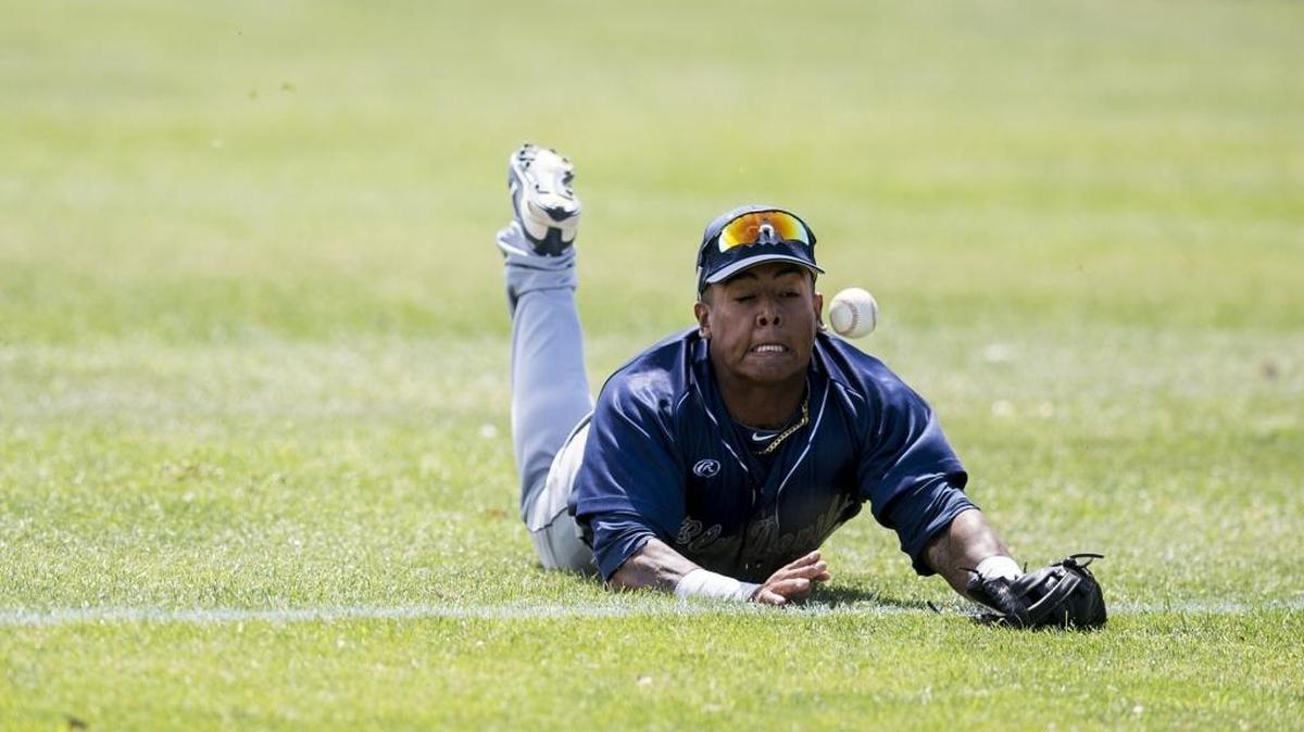 Merced College sophomore Victor Tiscareno (13) dives for a fly ball that is ruled foul during a game against Cabrillo College at Blue Devil Field in Merced, Calif., on Saturday, May 6, 2017. The Seahawks beat the Blue Devils 9-5.