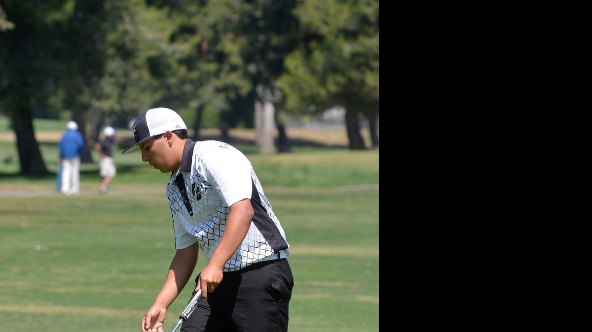 
Buhach Colony's Emie Ochoa, 17, retrieves his golf ball after sinking a putt to finish up the front 9 holes during the Sac-Joaquin Section Division 1 South Golf Tournament on Monday (5-4-15) at Rancho Del Rey golf course in Atwater.
