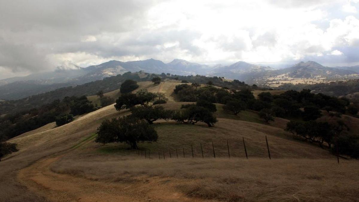 A view of Spike’s Peak. This 5.2 mile round-trip hike climbs 500 feet to the best view hike in our area. Best enjoyed on a clear winter or early spring day, the 1,927 foot summit overlooks the Pacheco Pass region of the Diablo Range and the Central Valley.