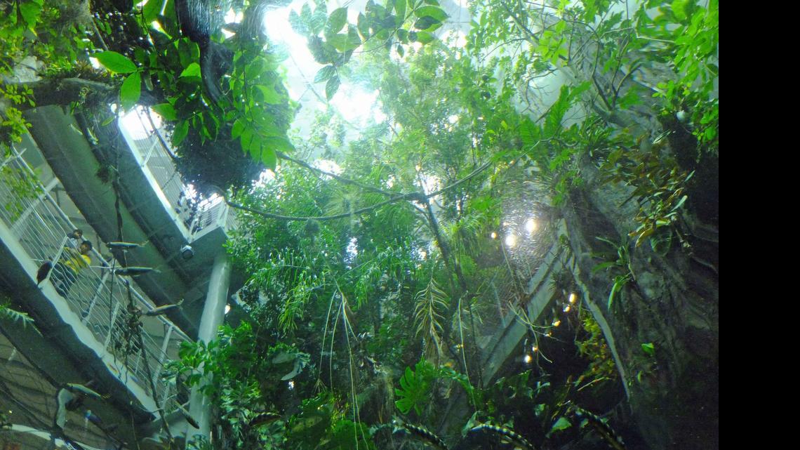 Northern California zoos can make easy day trips