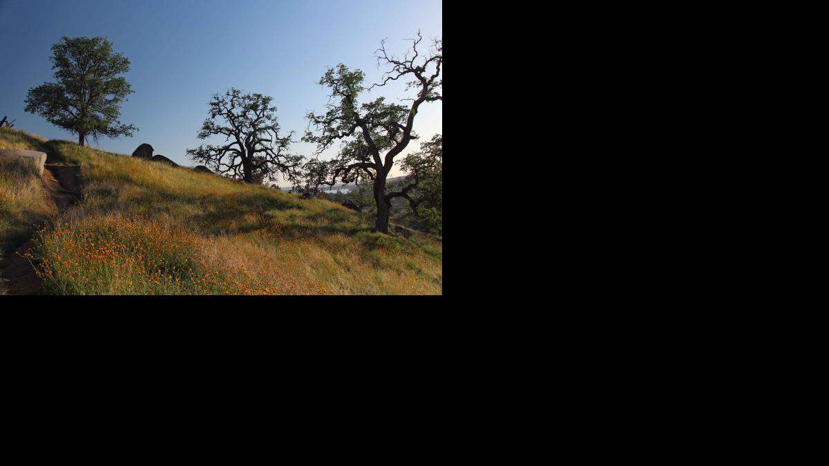 
Buzzard’s Rest Trail is a 1.2-mile round-trip climb that offers great views of Millerton Lake and the Central Valley. 
