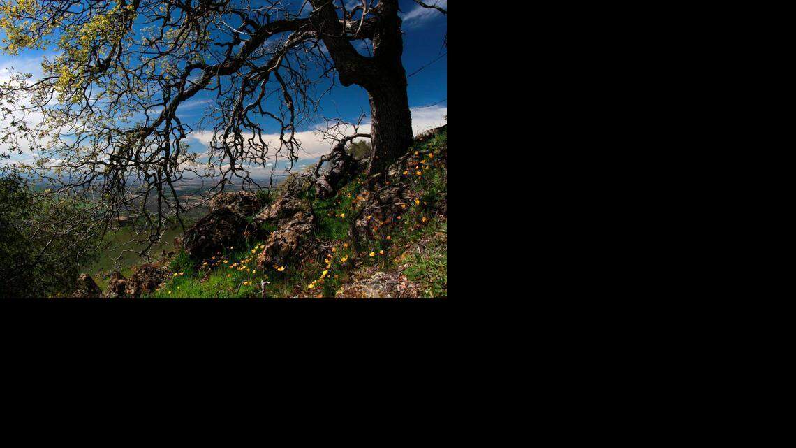 Blauert on Outdoors: Weather’s perfect to get out and hike