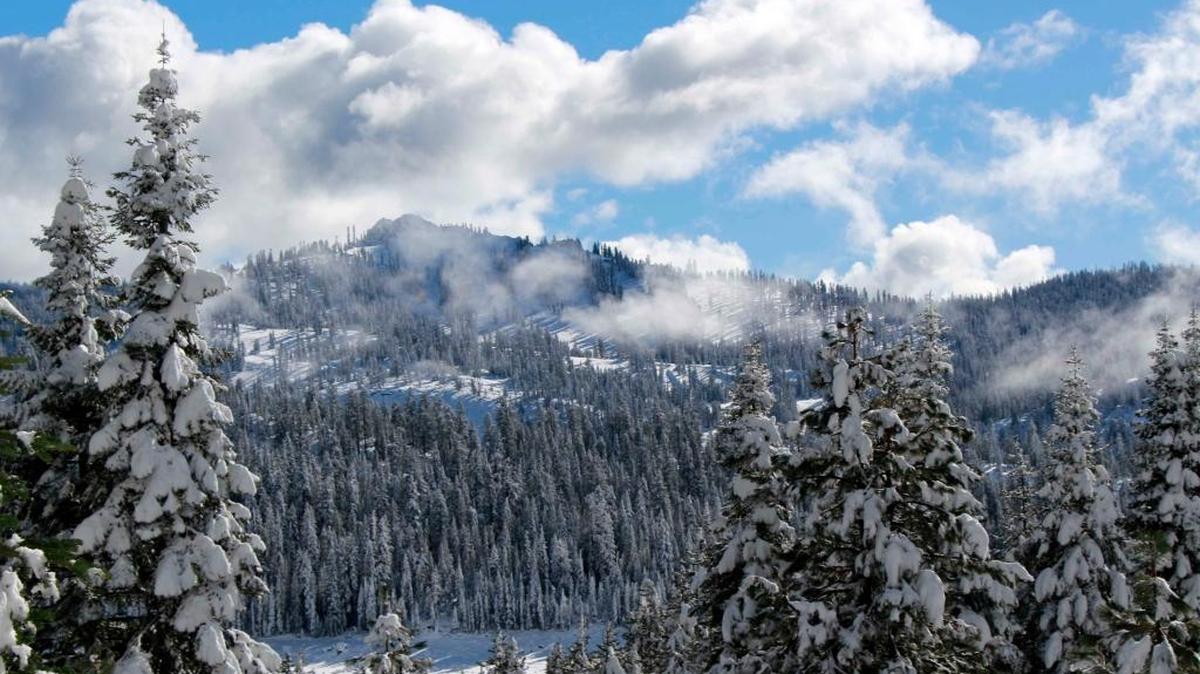 Fresh snow covers the China Peak ski area.