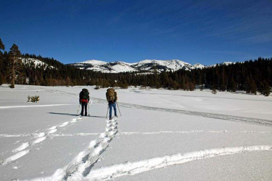 Snowshoers make their way through the Van Vleck Meadows in Yosemite National Park in 2015.