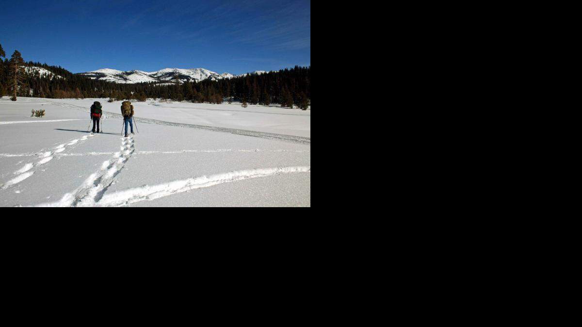 
Snowshoers make their way through the Van Vleck Meadows in Yosemite. 
