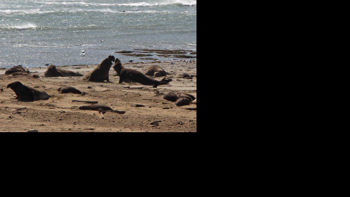 Blauert on Outdoors: Make your reservations early